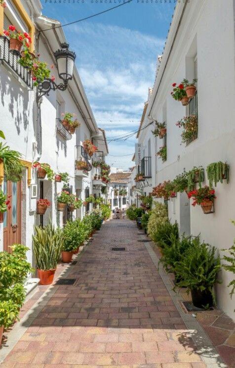 Trebol Apartamentos Benalmadena Arroyo De La Miel Ngoại thất bức ảnh