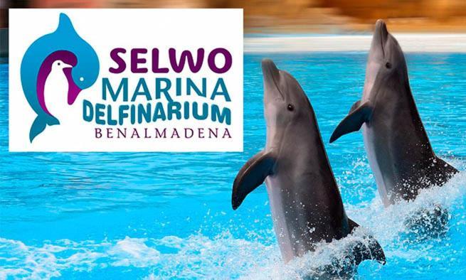 Trebol Apartamentos Benalmadena Arroyo De La Miel Ngoại thất bức ảnh